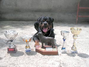 Annie (figlia di Ch.Crom x Cora)