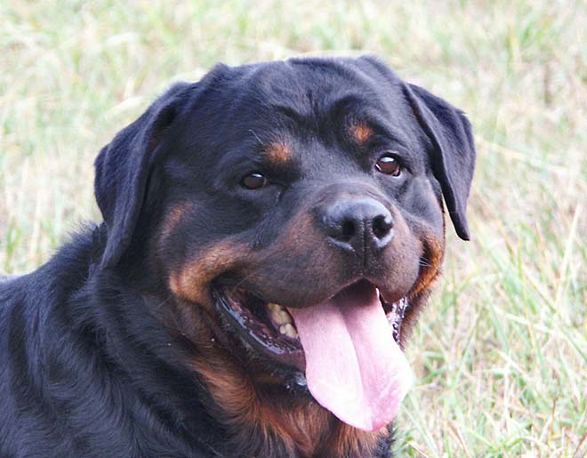 Athos