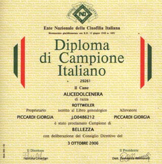 apri il diploma