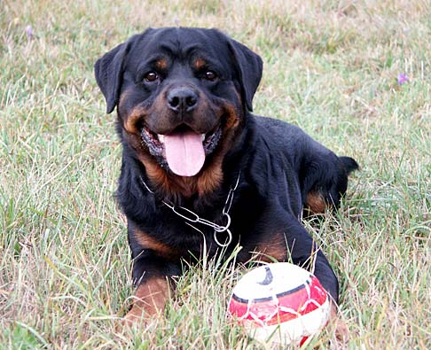Athos