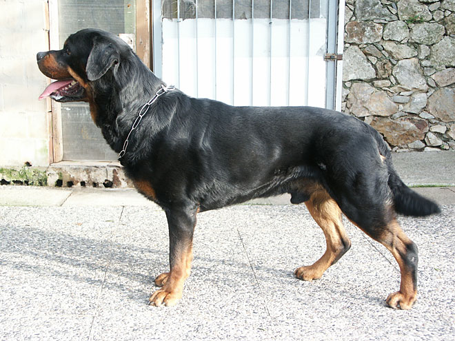 Athos