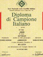 apri il diploma