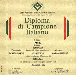 apri il diploma