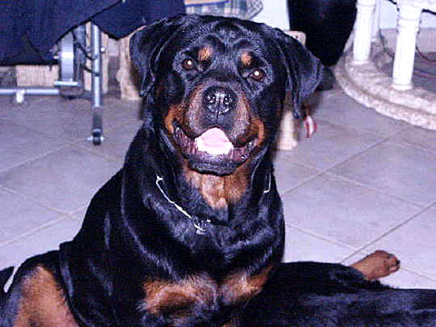 Athos
