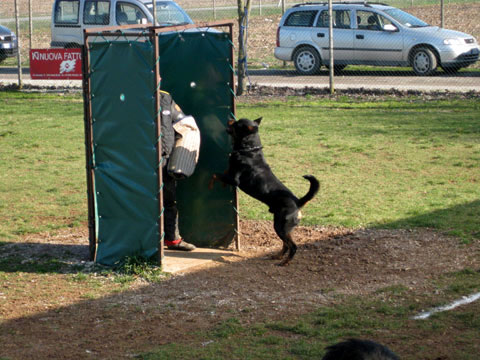 Athos