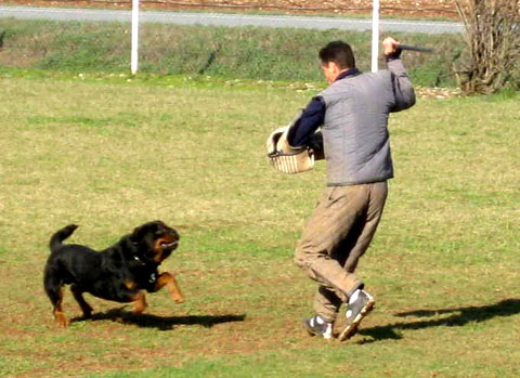 Athos